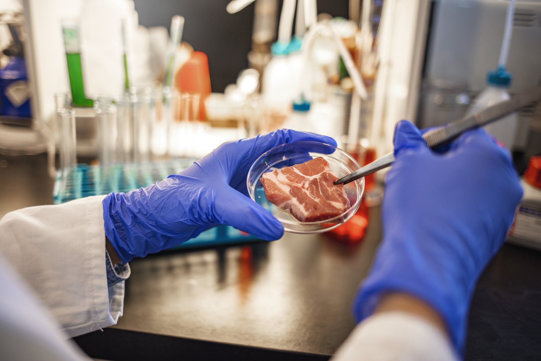 Per la Corte Ue le polpette di soia si possono vendere come carne