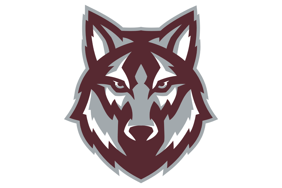 THE HIERARCHY: VYPE SATX Volleyball Rankings in second half of District; Davenport, Canyon ascending