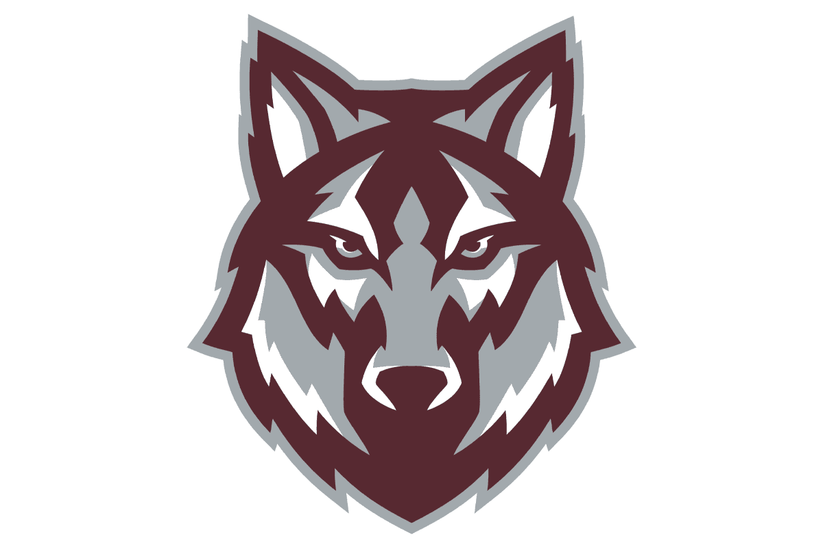 THE HIERARCHY: VYPE SATX Volleyball Rankings in second half of District; Davenport, Canyon ascending
