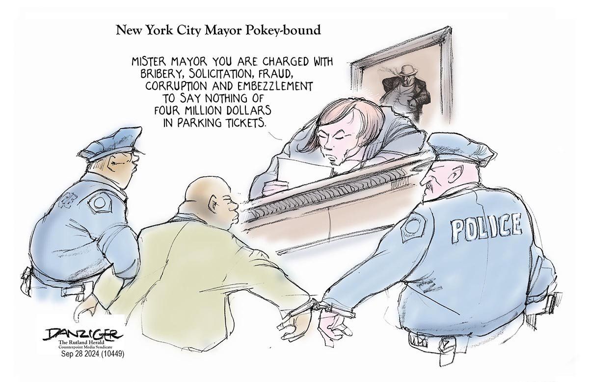 Danziger Draws