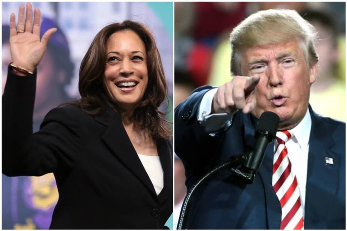 kamala harris, donald trump, 2024 election