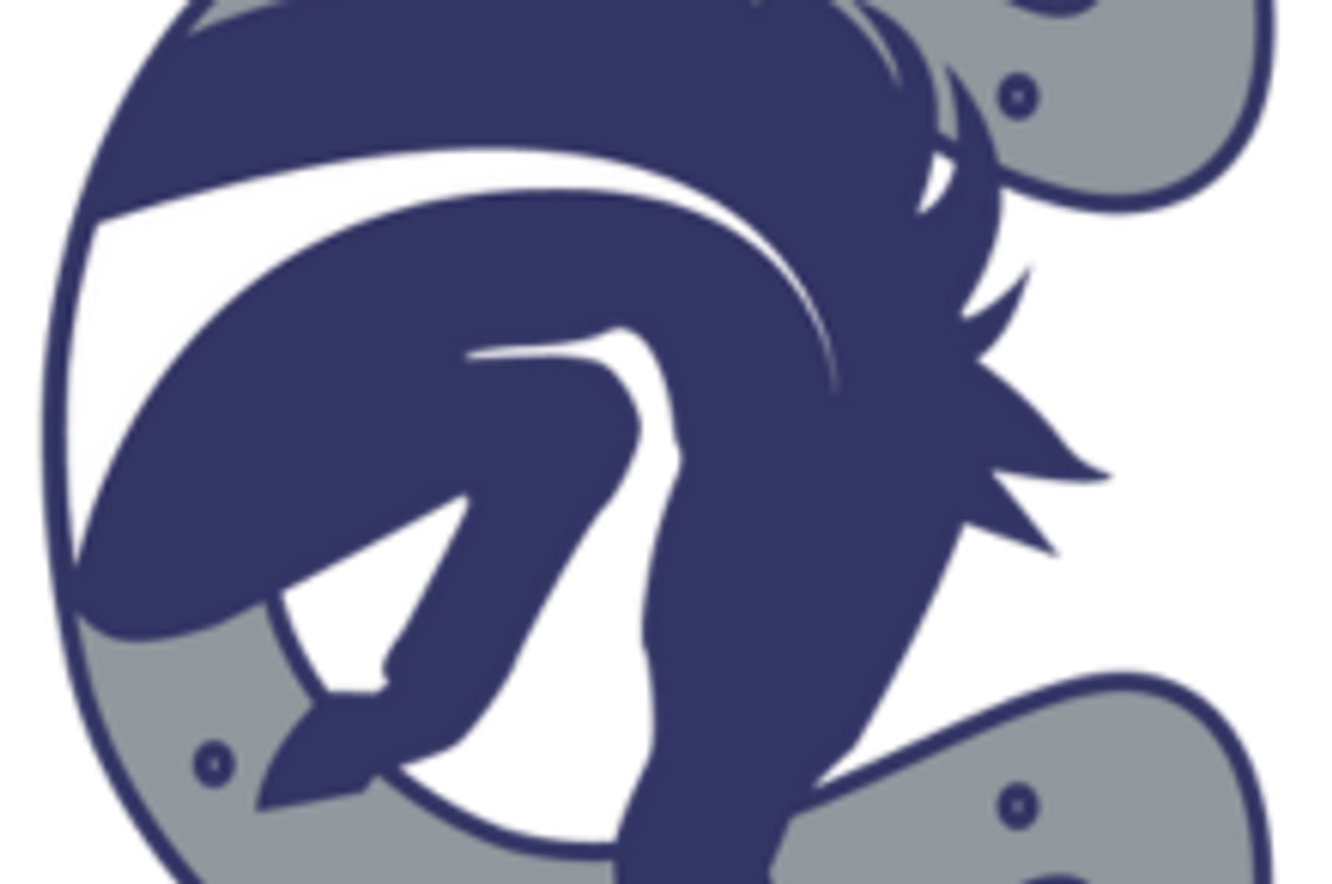 THE HIERARCHY: VYPE SATX Volleyball Rankings; Champion shaking things up