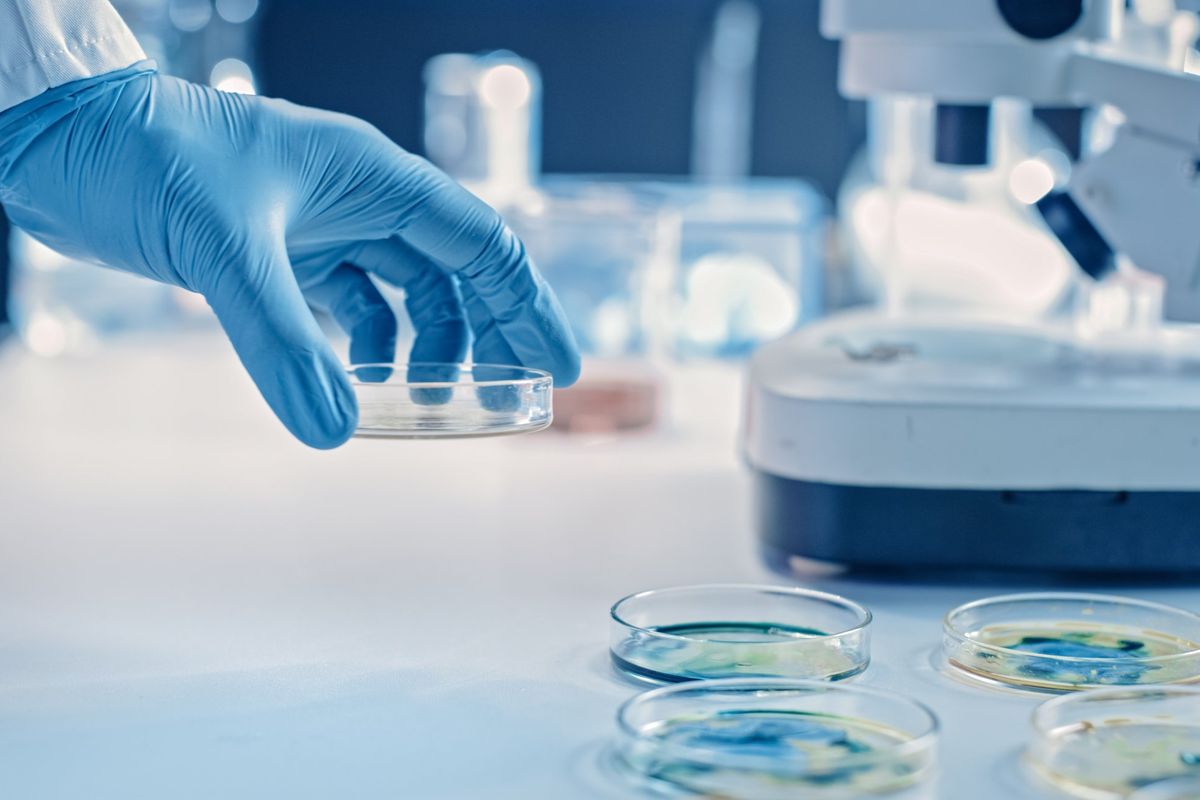 La resistenza agli antibiotici diventa la «nuova pandemia». E la cura è sempre il vaccino