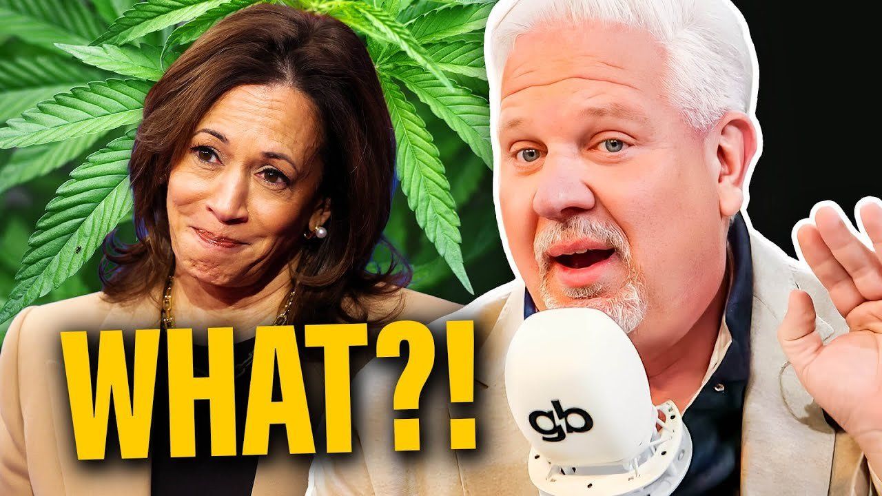 Kamala offered WHAT to black men for votes?!