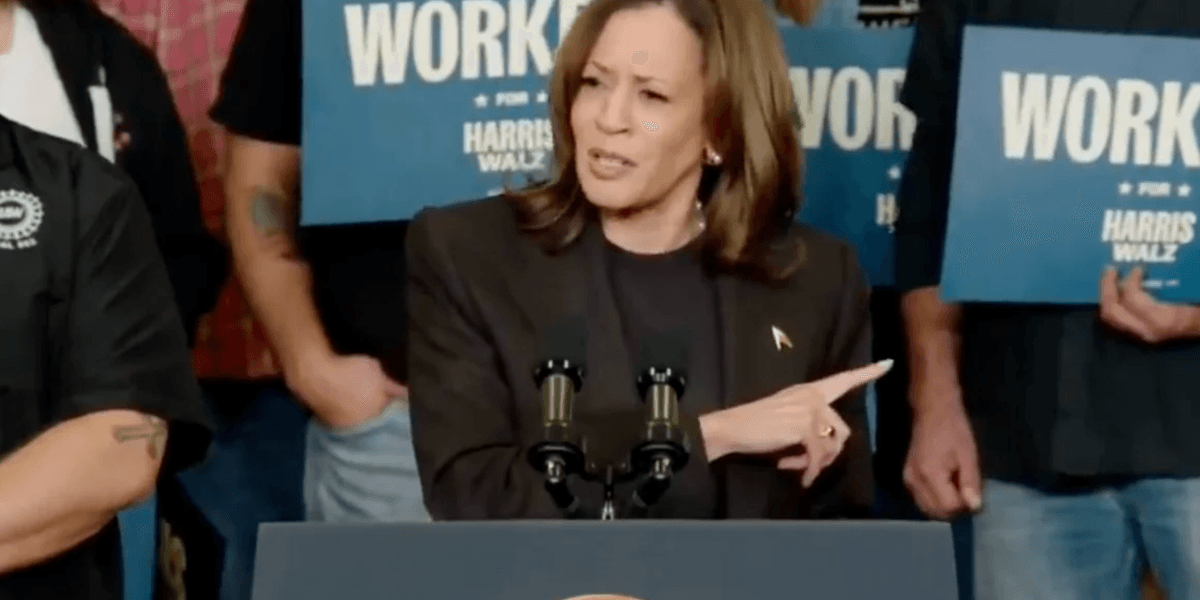 At Michigan Auto Workers Rally, Harris Plays Audio Of Trump Insulting