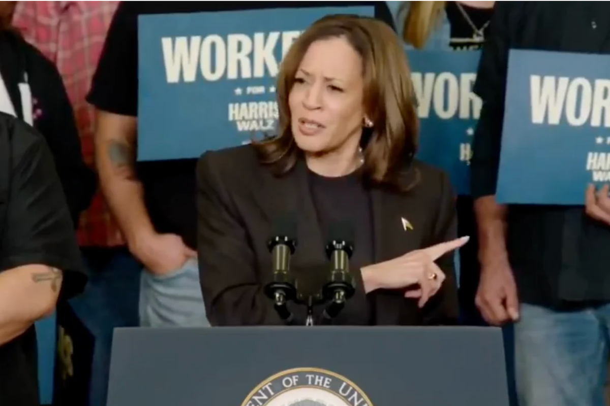 At Michigan Auto Workers Rally, Harris Plays Audio Of Trump Insulting Them