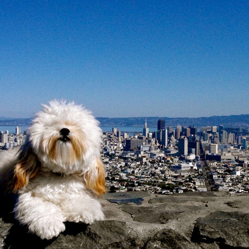 Photo Contest Show Us Your Pride and Win Tickets to the VIP Pride