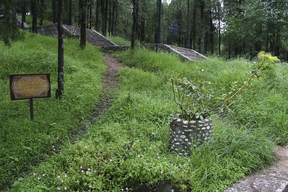 A path work into tall grass next to stairs