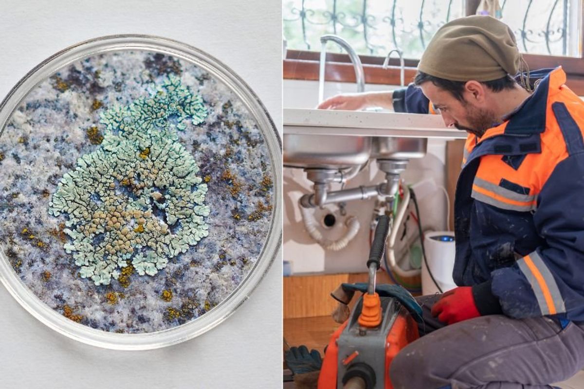 plumbing; water makes family sick; sink makes family sick; aerator; cleaning aerator