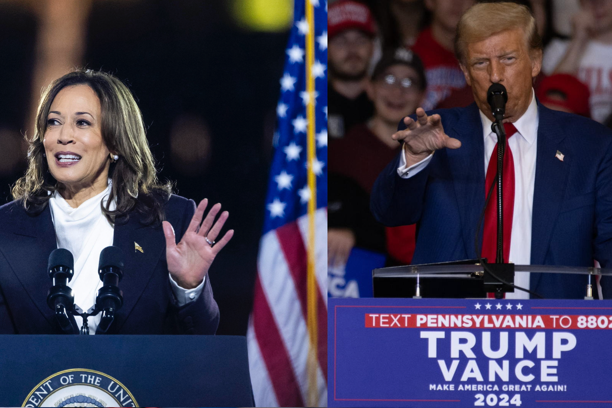 Usa 2024: tutto quello che c'è da sapere