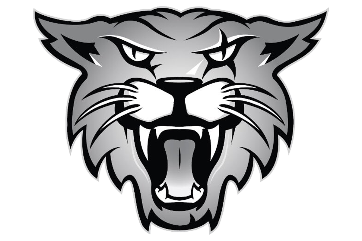 THE HIERARCHY: VYPE SATX Week 11 Football Rankings; Sotomayor, Boerne put list on notice