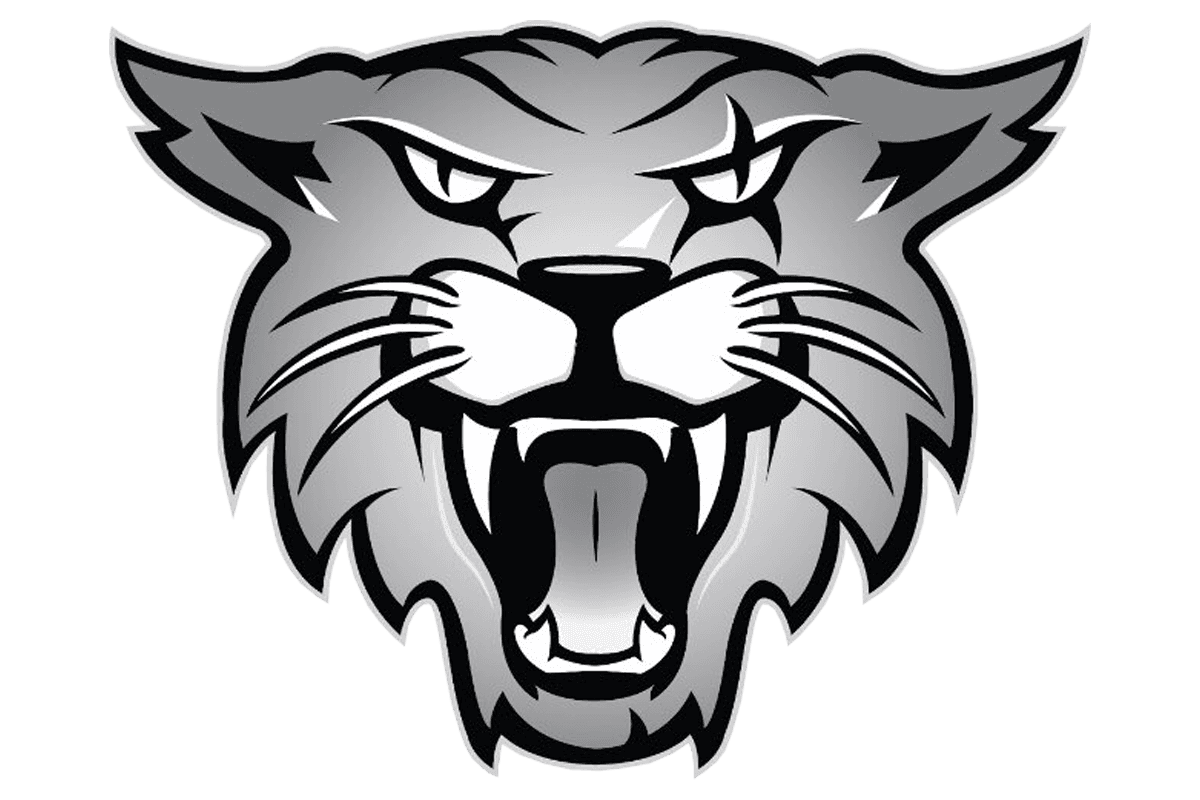 THE HIERARCHY: VYPE SATX Week 11 Football Rankings; Sotomayor, Boerne put list on notice