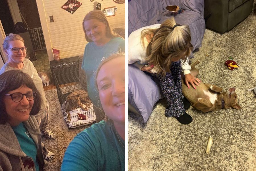 dog rescue; dog recovery; dog training; dogs; pet rescue; dog rescued after five months; dog five months in woods