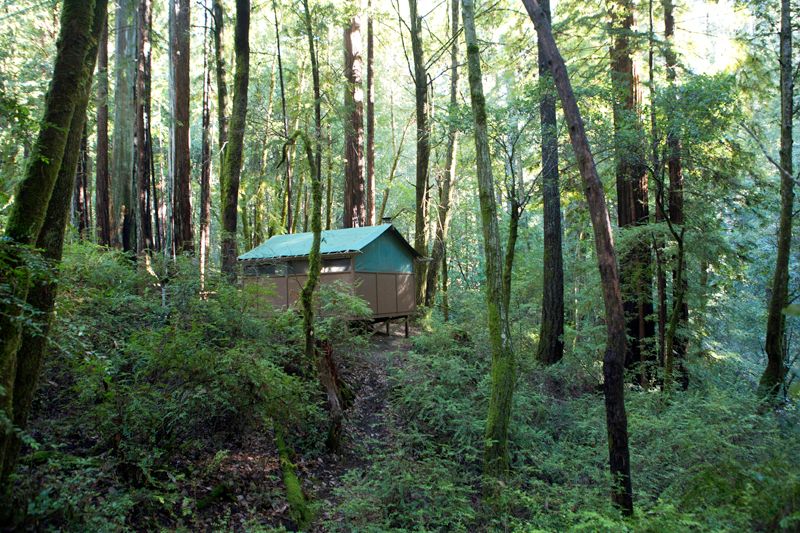 Big basin outlet tent cabins