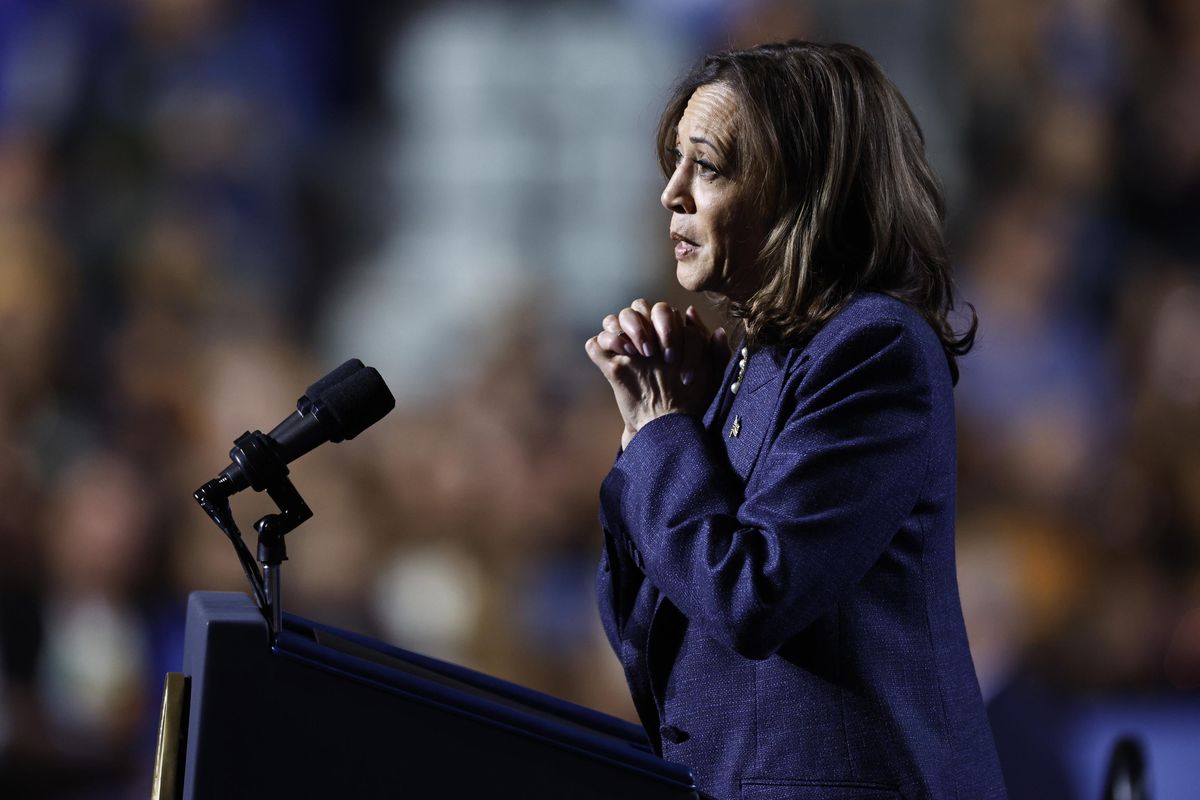 Harris ko e parte lo scaricabarile: «Biden ha grosse responsabilità»