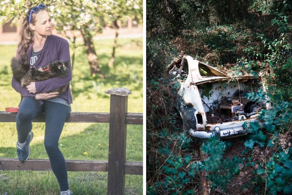 Woman and her cat find bullet hole ridden minivan buried in backyard captivating the internet