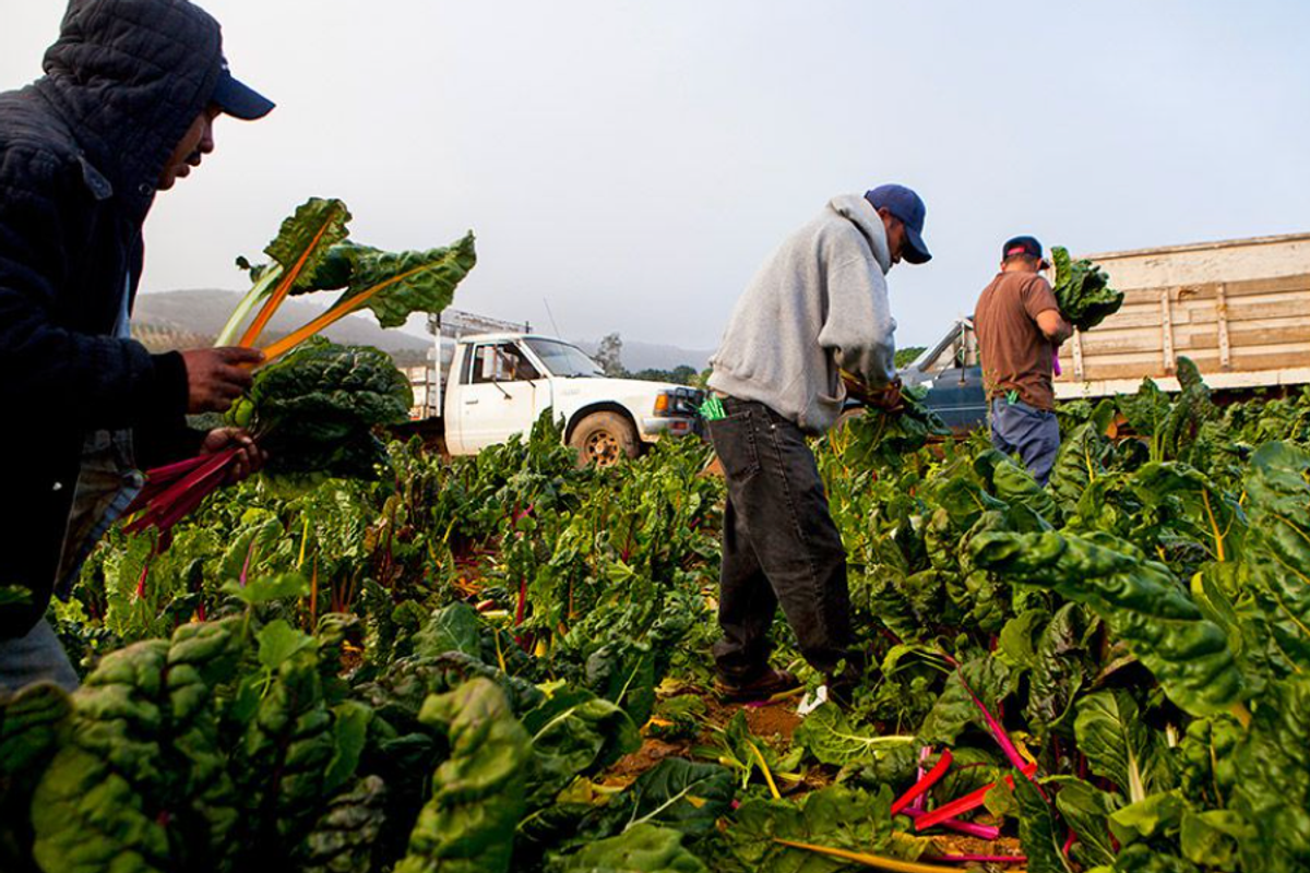 Trump's Deportation Plan Will Cost Nearly A Trillion Dollars