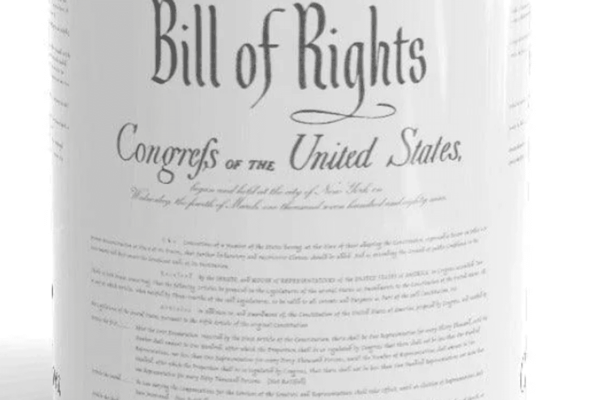 Bill of Rights Mug