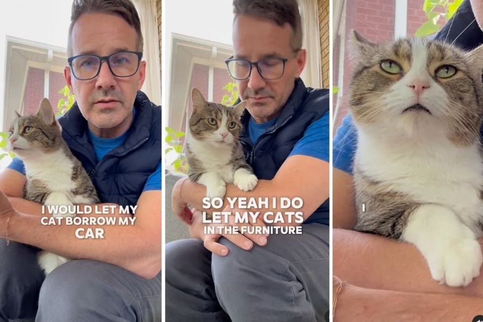 Veterinarian has perfect response after being told it's 'disgusting' to let cats on furniture