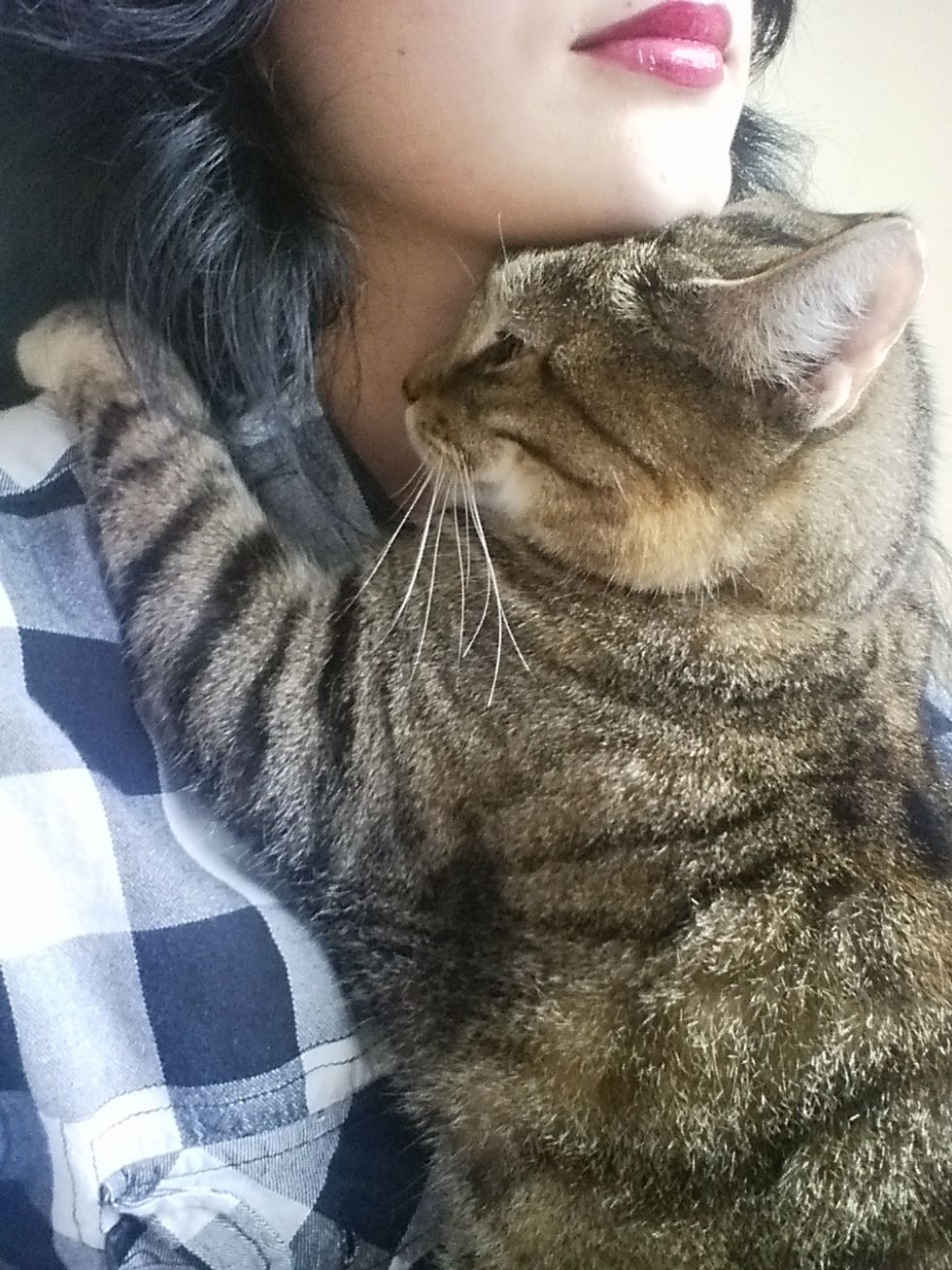 Cat Loves Her Human So Much She Hugs And Watches Over Her Every Step Of The Way Love Meow