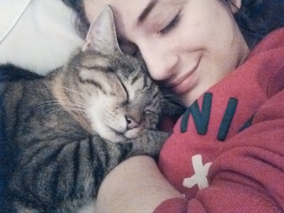 Cat Loves Her Human So Much She Hugs And Watches Over Her Every Step Of The Way Love Meow