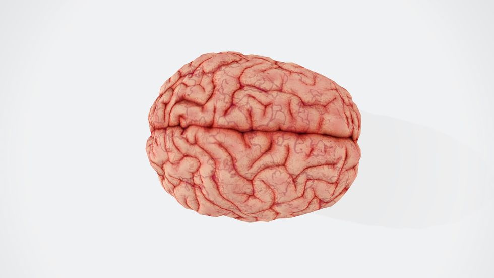 adhd, children, kids, mental health, neurodivergent, brains, psychology, medicine, research, medical studies