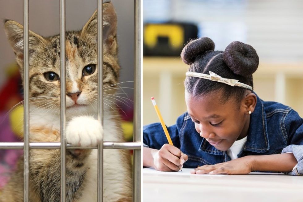 Third graders wrote these adorably persuasive descriptions for local shelter animals