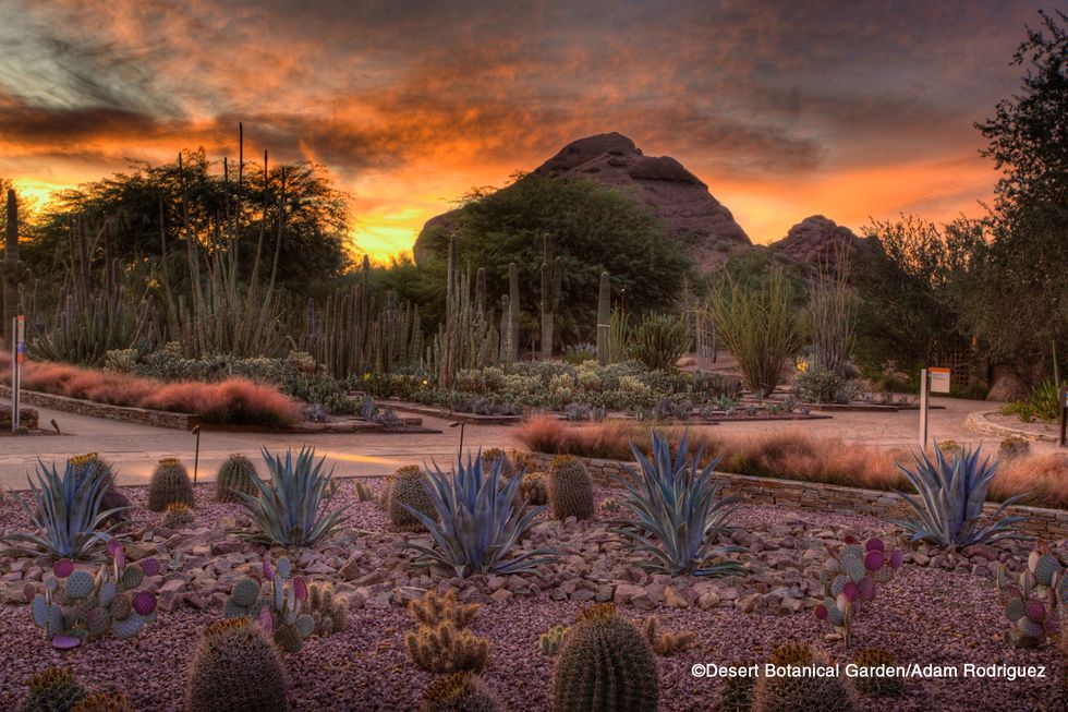 the-best-things-to-do-and-see-in-phoenix-arizona