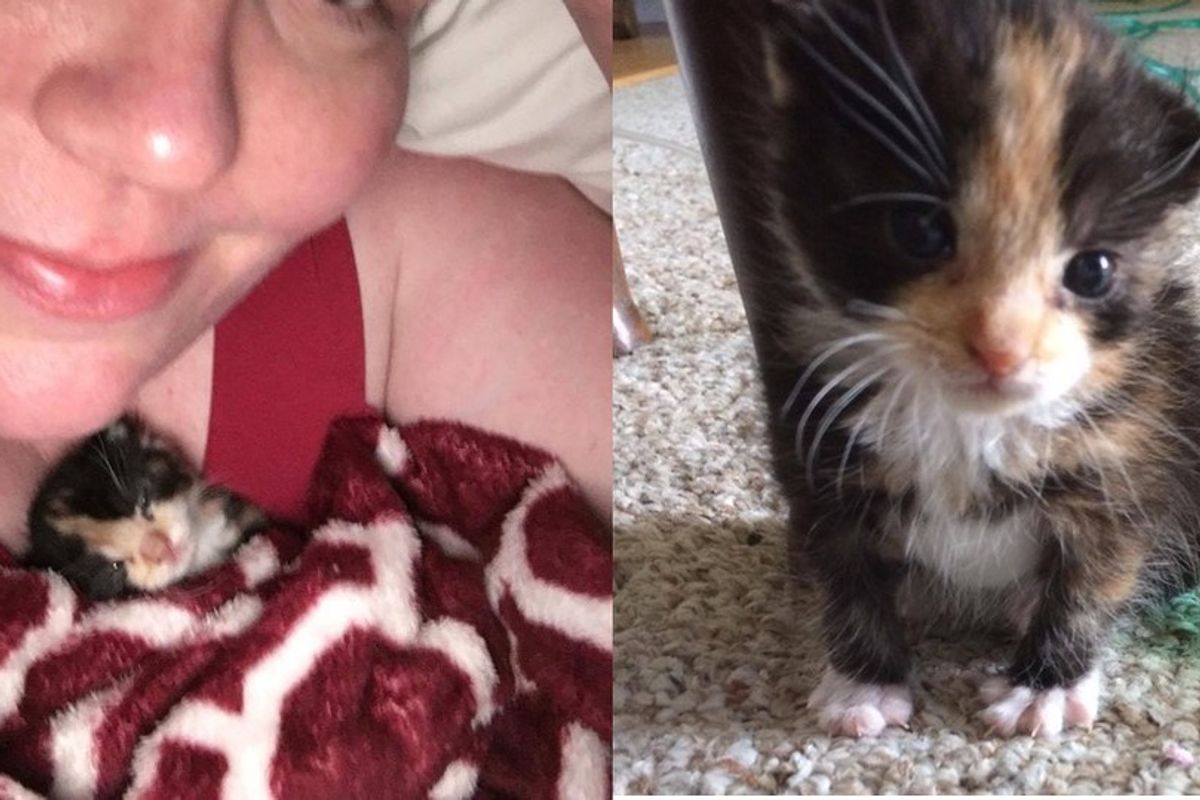 Orphaned Kitten Saved by Cancer Survivor, Returns the Favor by Rescuing Her Back