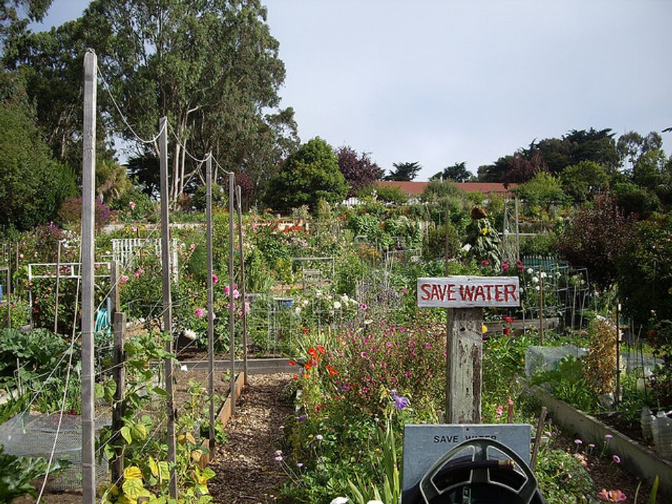 A Guide To Community Gardens Around The City 7x7 Bay Area