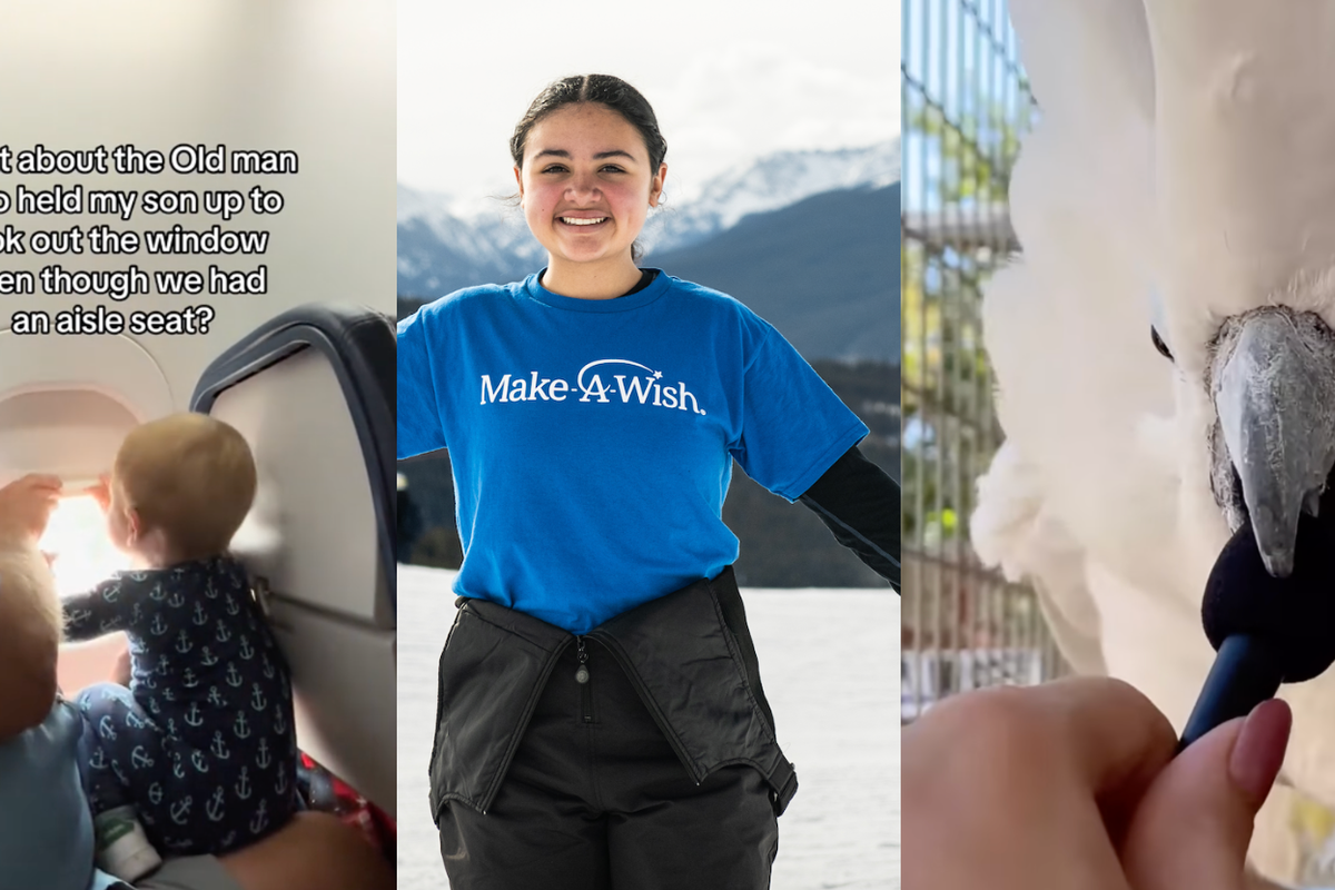 5 things that made us smile this week