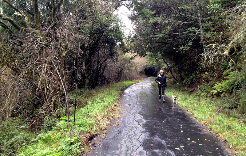 cross marin trail