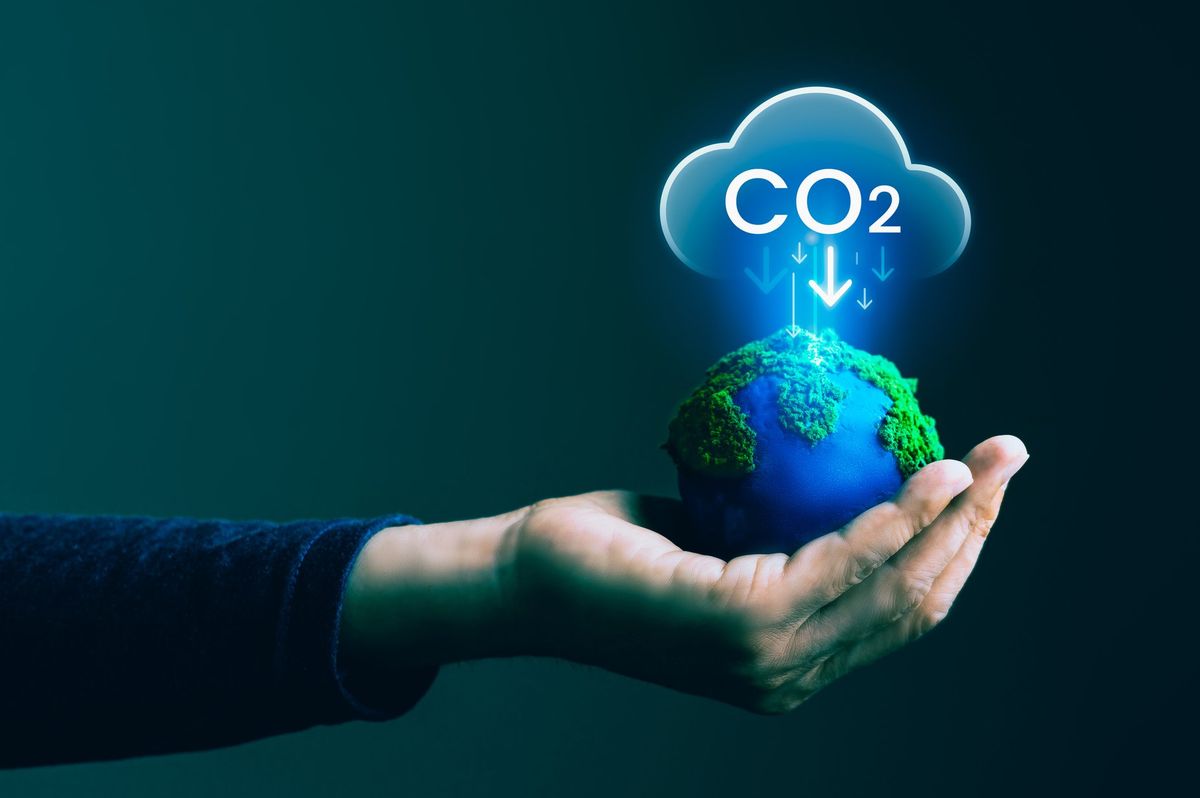 La tanto calunniata CO2 è cibo per il pianeta