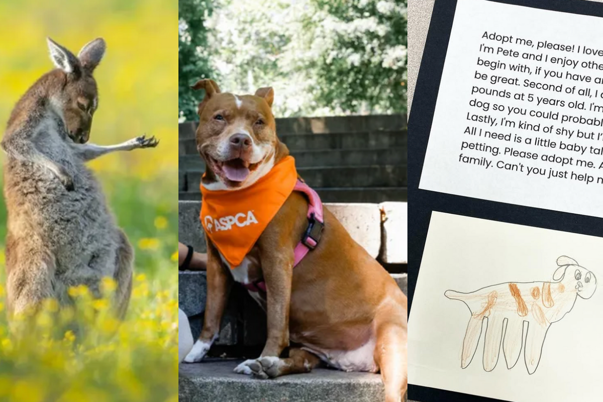 5 things that made us smile this week