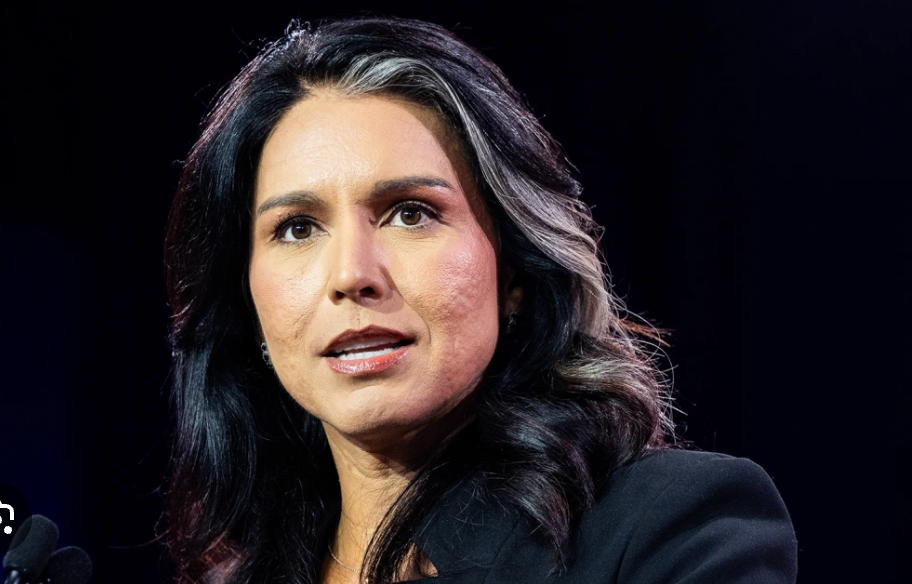 Tulsi Gabbard