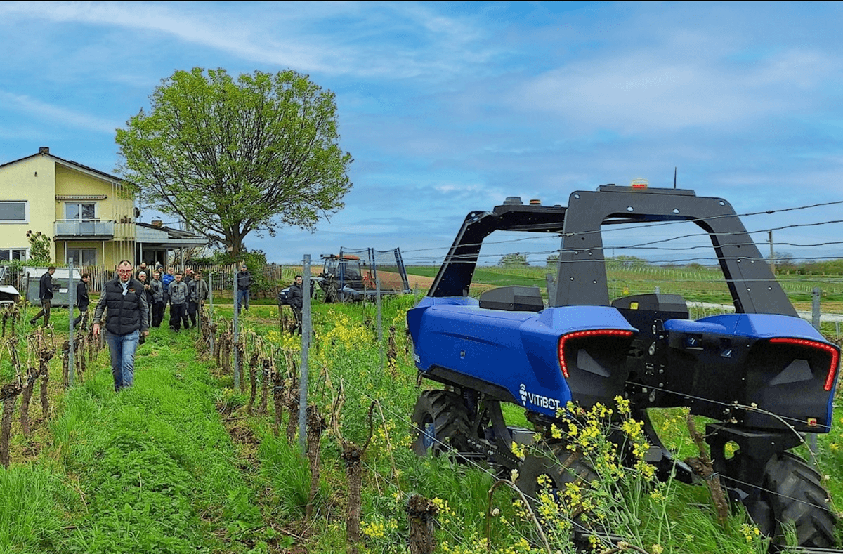 In Bordeaux setzen Winzer Roboter in ihren Weinbergen ein
