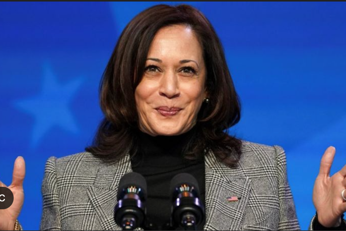 Why That Same Old Pundit Is Wrong About Democrats' 2024 Defeat