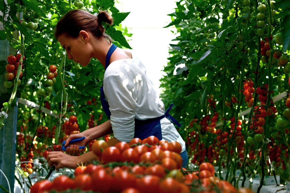 Biologico, che passione