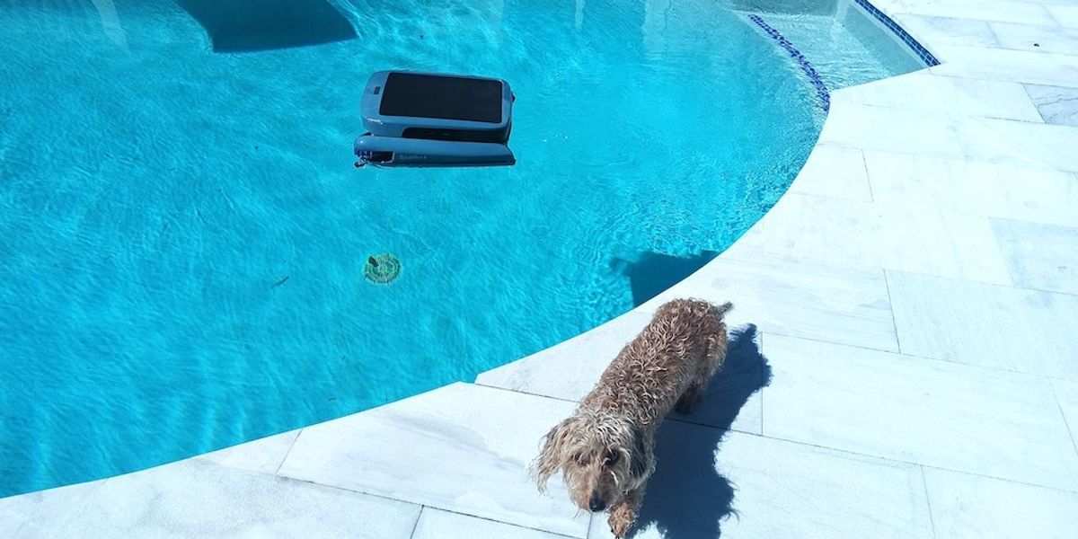 photo of Beatbot iSkim Ultra pool skimmer in the pool cleaning.