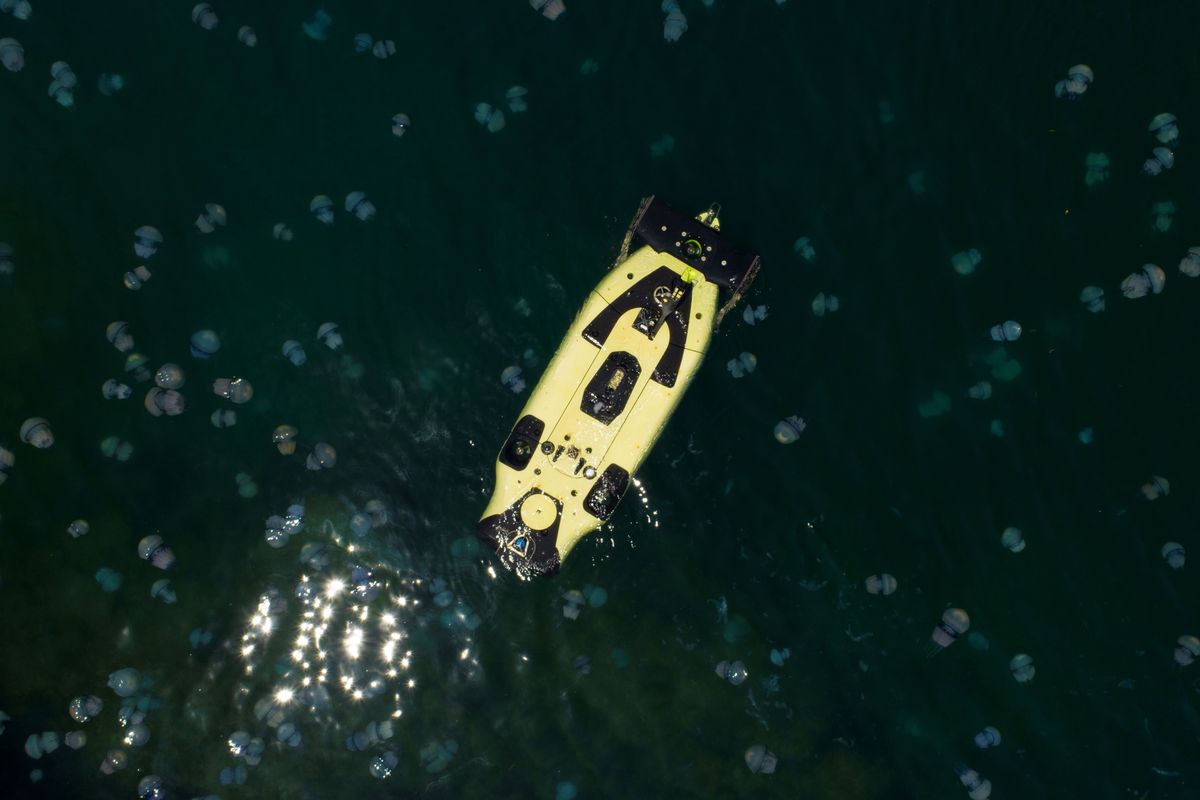 Droni sottomarini, Italia protagonista di un mercato in forte crescita