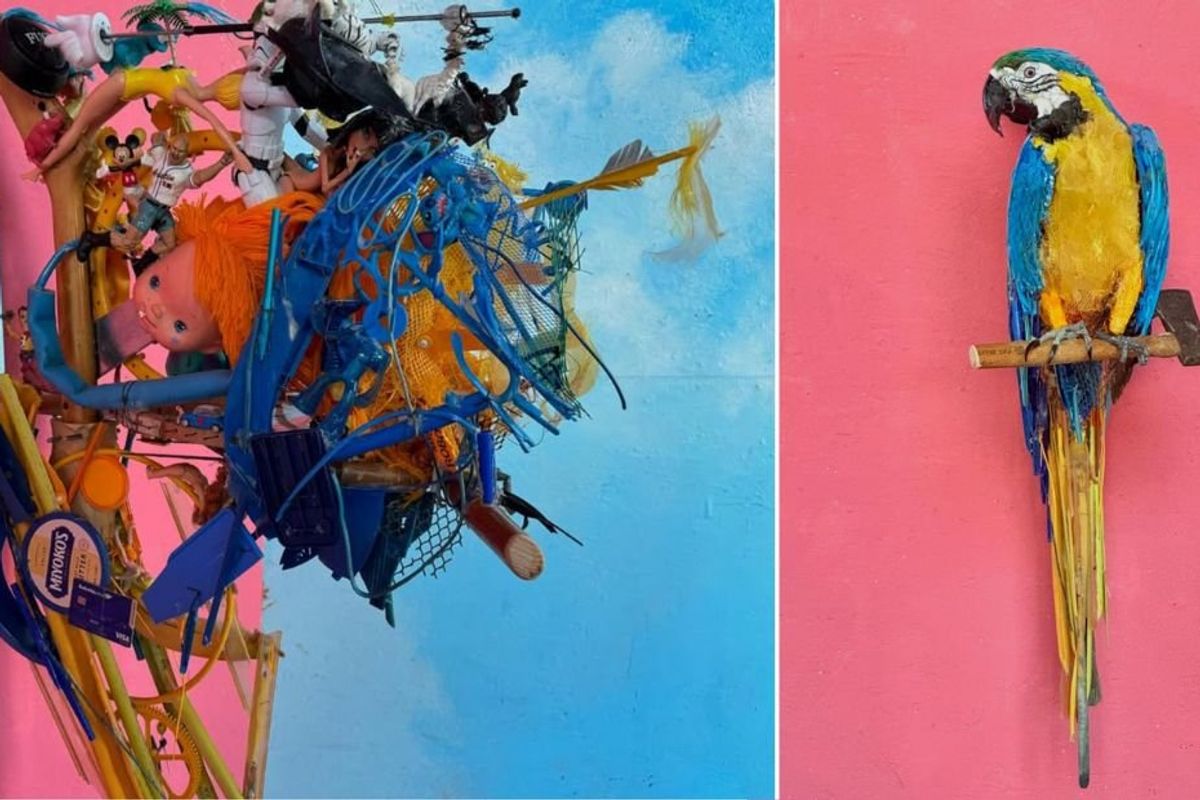 a pile of plastic trash hung on a wall becomes a lifelike parrot from another angle