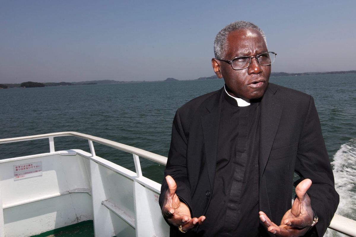 «Non c’è il diritto a emigrare. Dietro certe battaglie civili ci sono dei desideri volgari»