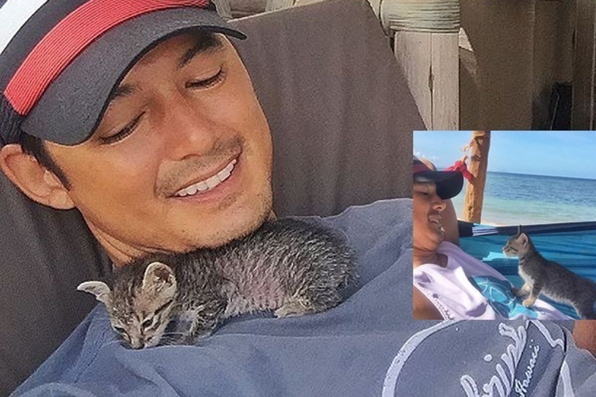 Guy Saves Tiny Kitten who Chooses Him and Changes His Life... (with Updates)