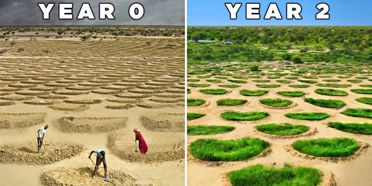 'Forgotten' water harvesting system transforms 'barren wasteland' into thriving farmland