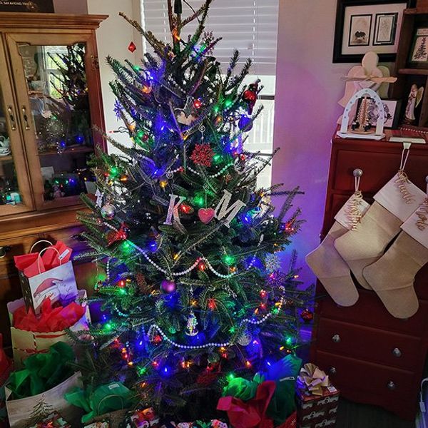 The Christmas Catalog