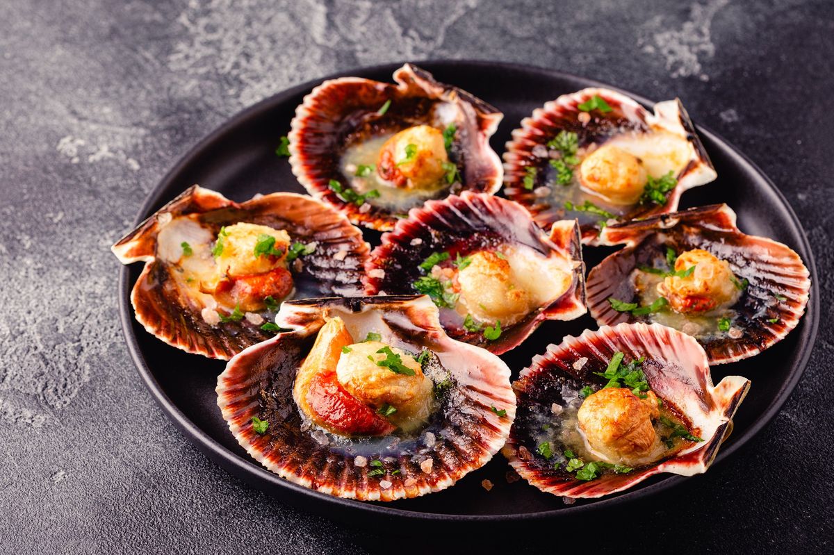 Nell'anno del Giubileo le capesante dei pellegrini per un cenone augurale