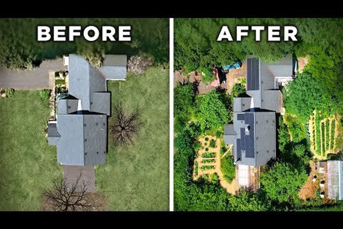 before and after images of a yard from above