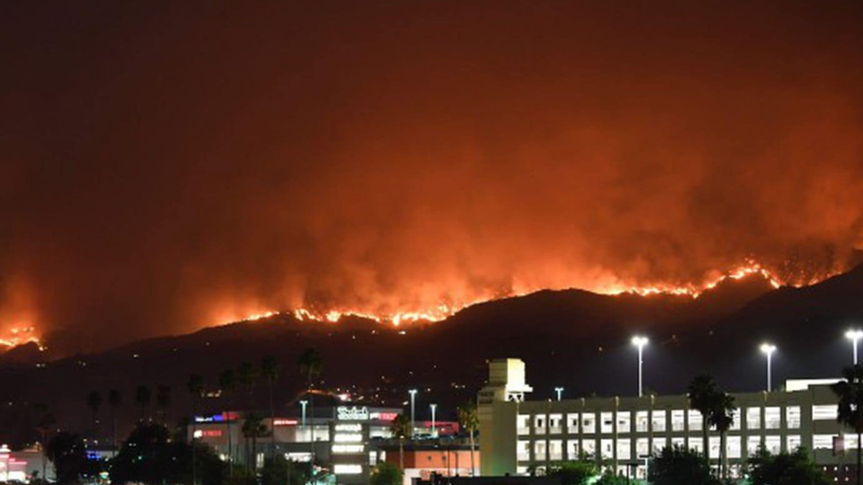 As Los Angeles Burns, Trump and Musk Play Politics