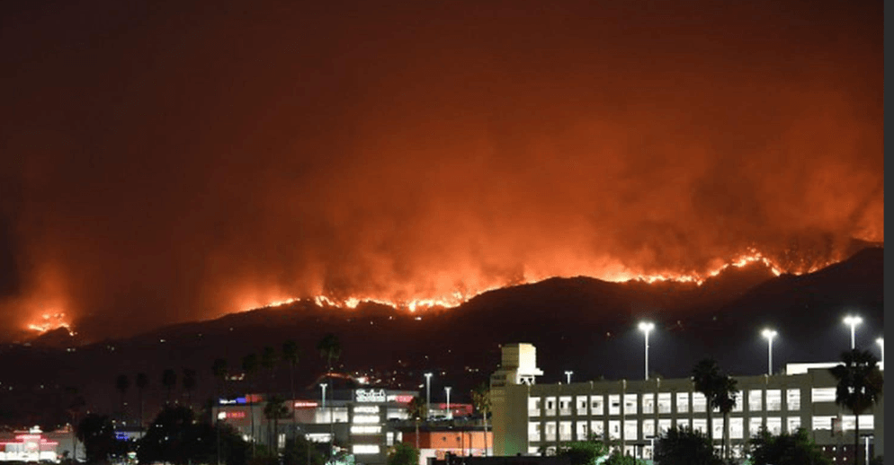 As Los Angeles Burns, Trump and Musk Play Politics