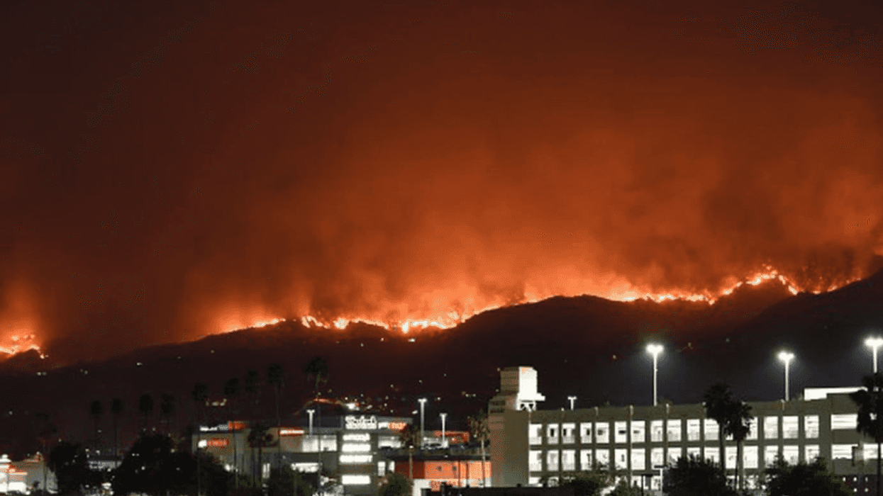 As Los Angeles Burns, Trump and Musk Play Politics
